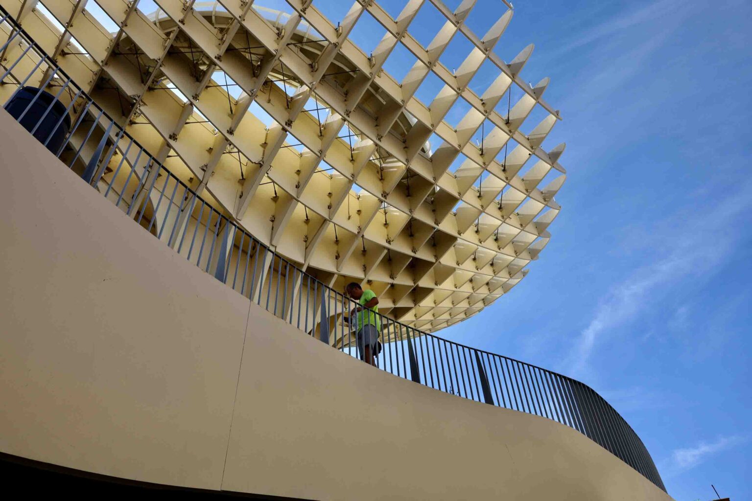 grzyby setas sewilla michal paluektau przewodnik po sewilli i andaluzji