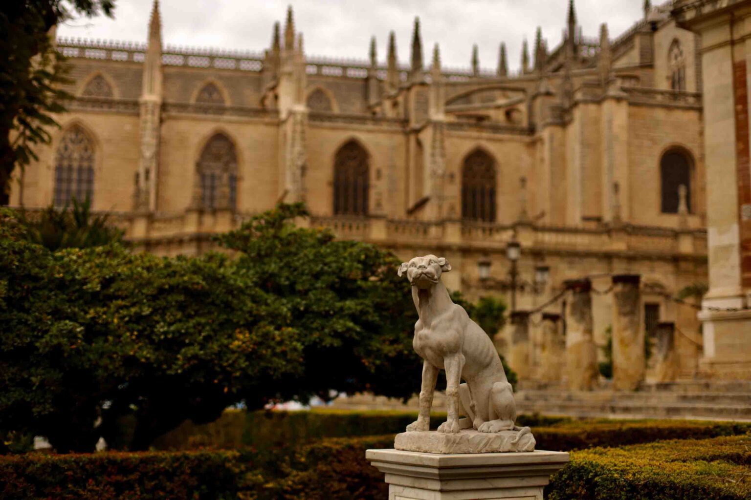 katedra w sewilli przewodnik